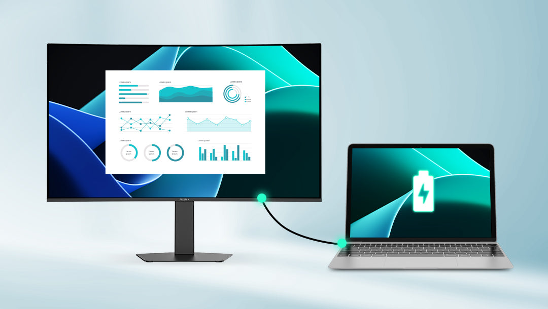 monitor x240 - 10