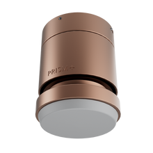 Oasis Motor Housing 46-52" Smart LED - Rose Gold (Version 1)