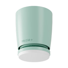 Oasis Pro Macaron Smart Motor 46-52" Hugger - Mint Green