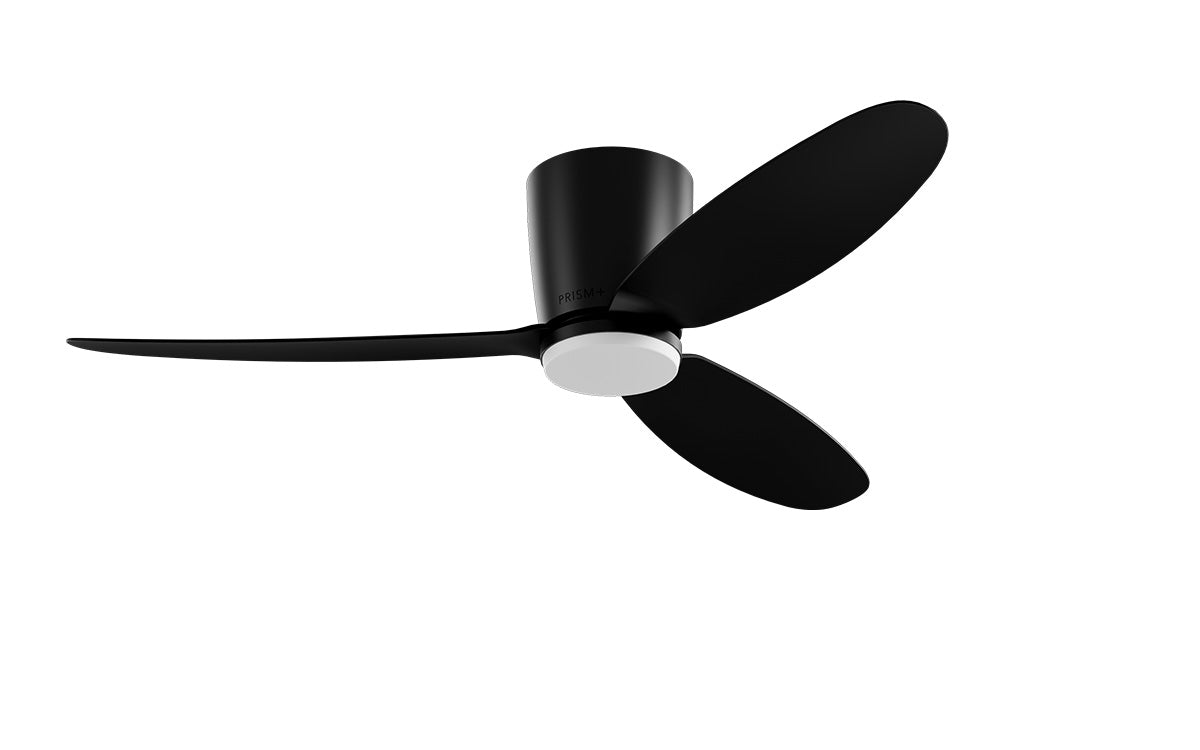 Oasis Pro - Blade Black