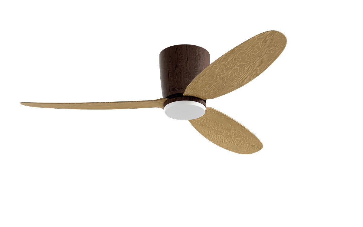 PRISM+ Oasis Pro Curve - 3 Blades - Hugger Standard NCCT