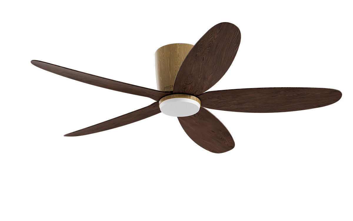 PRISM+ Oasis Pro Curve - 5 Blades - Hugger Standard NCCT