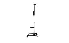 Mobile TV Stand: MTS