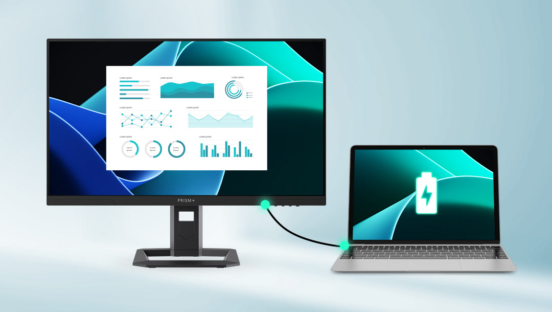 monitor x240 - 10