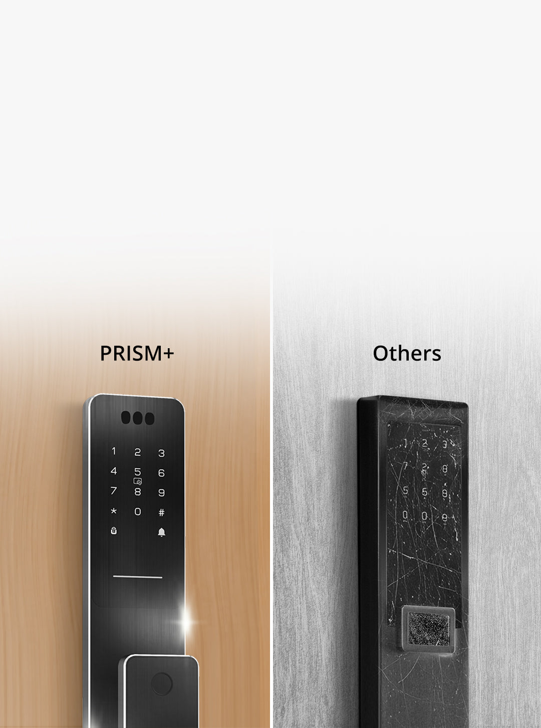 prism+