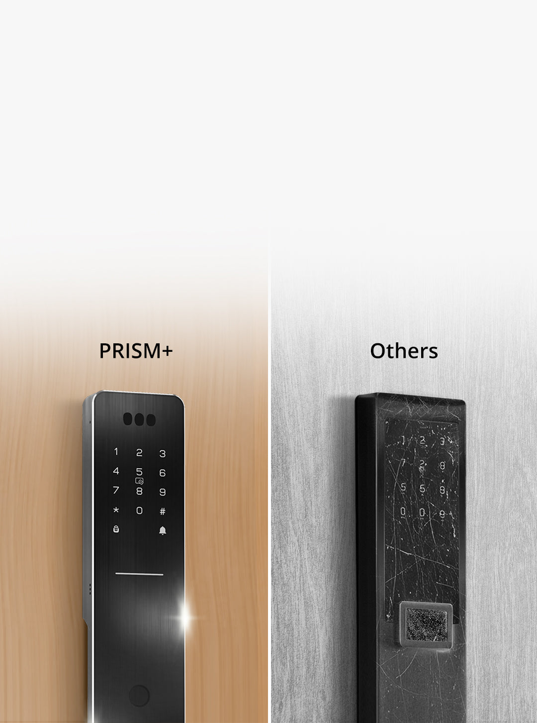 prism+